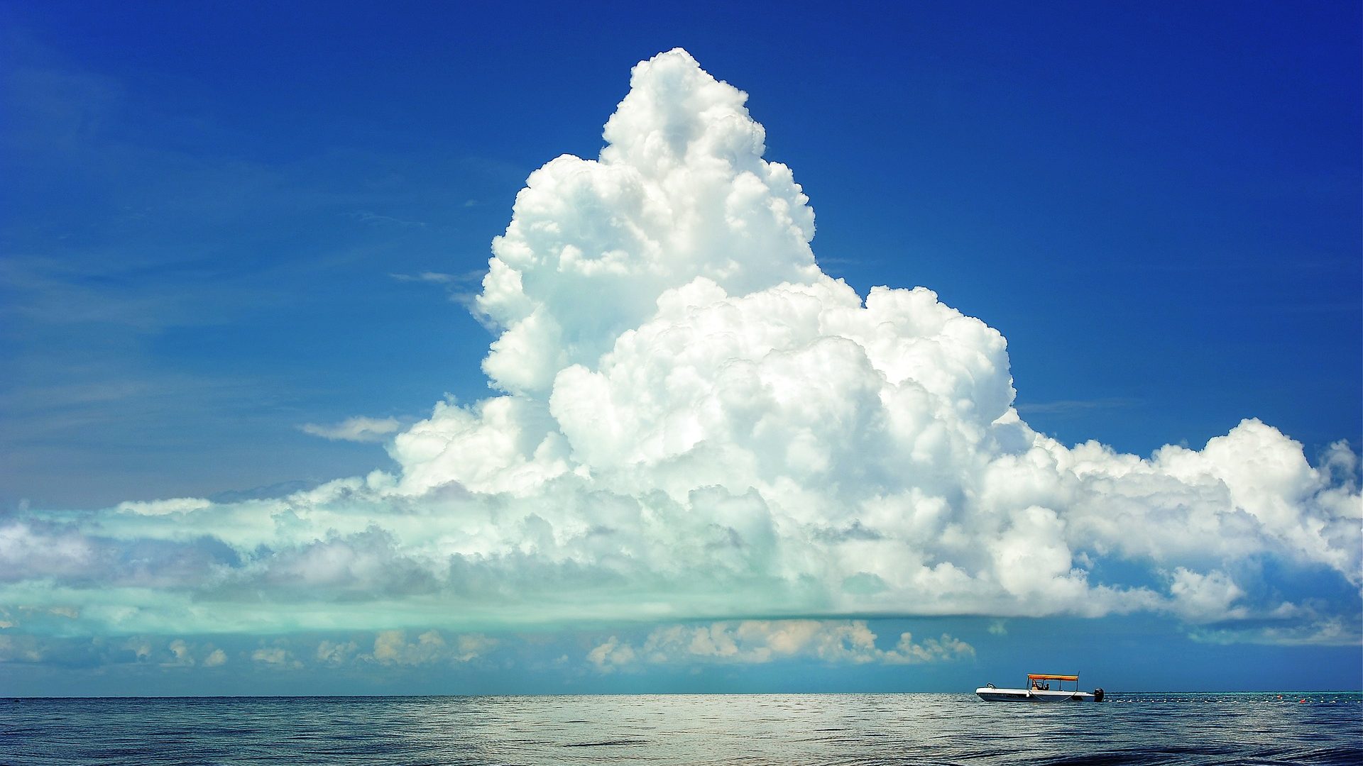 ベスト50 ラピュタ 壁紙 スマホ 最高の花の画像